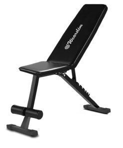 Gym Bench for Full Body Workout